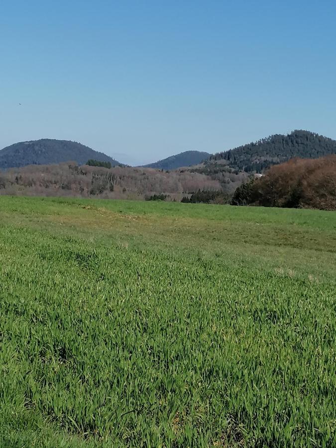 HerpelmontAir Paix Le Mont别墅 外观 照片